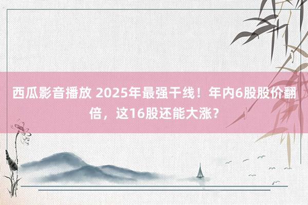 西瓜影音播放 2025年最强干线！年内6股股价翻倍，这16股还能大涨？