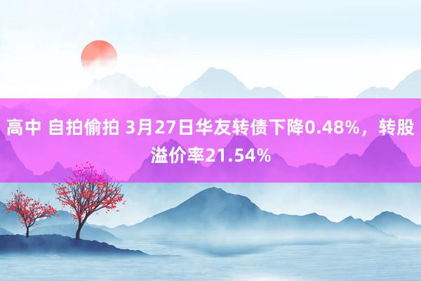 高中 自拍偷拍 3月27日华友转债下降0.48%，转股溢价率21.54%