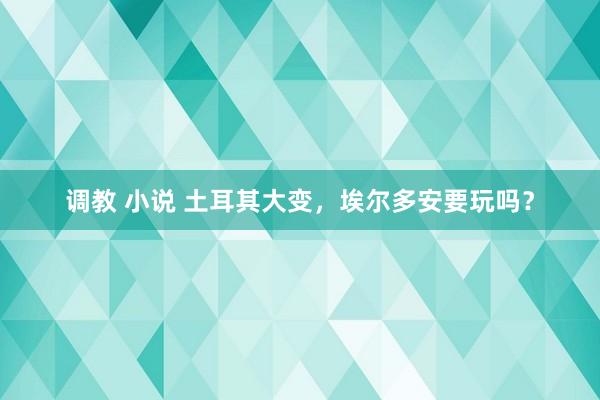 调教 小说 土耳其大变，埃尔多安要玩吗？