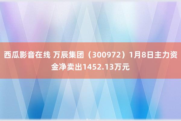 西瓜影音在线 万辰集团（300972）1月8日主力资金净卖出1452.13万元