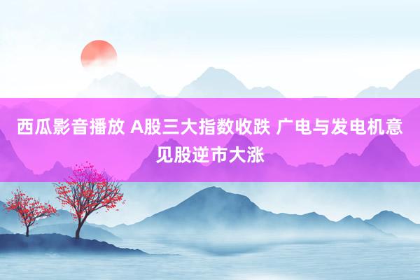 西瓜影音播放 A股三大指数收跌 广电与发电机意见股逆市大涨