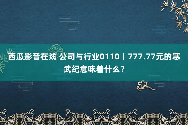 西瓜影音在线 公司与行业0110丨777.77元的寒武纪意味着什么？