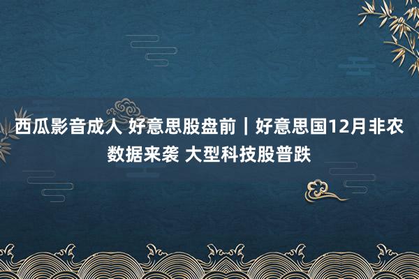 西瓜影音成人 好意思股盘前｜好意思国12月非农数据来袭 大型科技股普跌