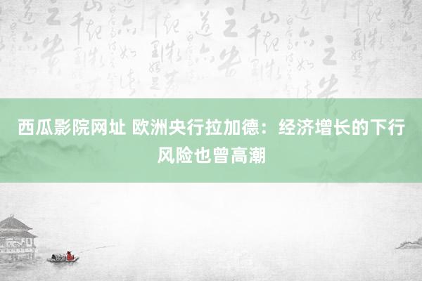 西瓜影院网址 欧洲央行拉加德：经济增长的下行风险也曾高潮