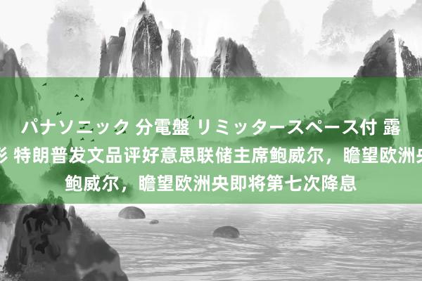 パナソニック 分電盤 リミッタースペース付 露出・半埋込両用形 特朗普发文品评好意思联储主席鲍威尔，瞻望欧洲央即将第七次降息