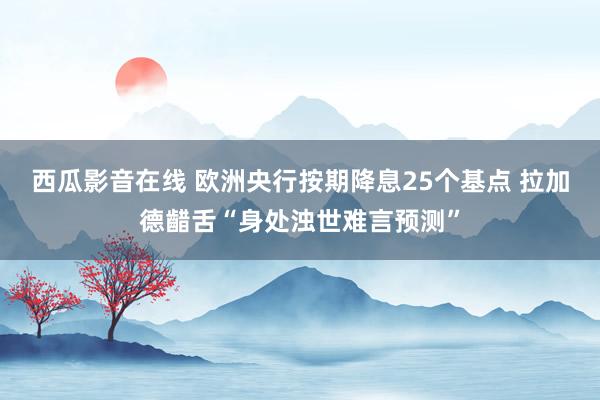 西瓜影音在线 欧洲央行按期降息25个基点 拉加德齰舌“身处浊世难言预测”