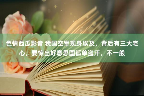 色情西瓜影音 我国空军现身埃及，背后有三大宅心，要惊出好意思国孤单盗汗，不一般