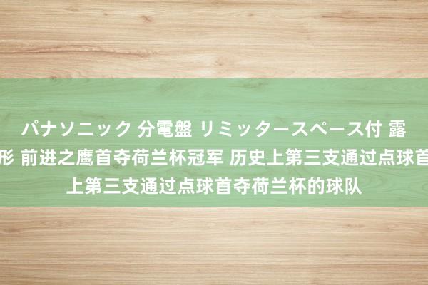 パナソニック 分電盤 リミッタースペース付 露出・半埋込両用形 前进之鹰首夺荷兰杯冠军 历史上第三支通过点球首夺荷兰杯的球队