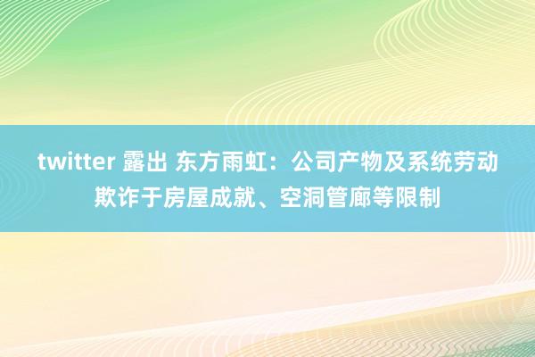 twitter 露出 东方雨虹：公司产物及系统劳动欺诈于房屋成就、空洞管廊等限制