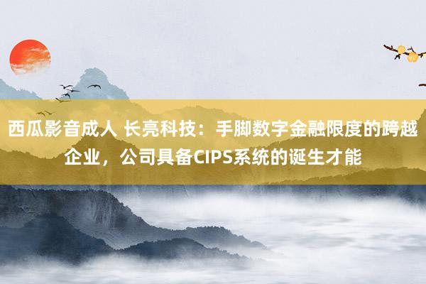 西瓜影音成人 长亮科技：手脚数字金融限度的跨越企业，公司具备CIPS系统的诞生才能