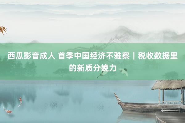 西瓜影音成人 首季中国经济不雅察｜税收数据里的新质分娩力